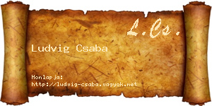 Ludvig Csaba névjegykártya